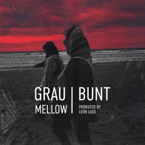 grau/bunt (feat. Leon Luge)
