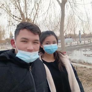 Yar-Dardi《合集版》