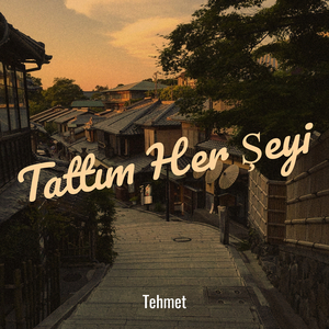 Tattım Her Şeyi