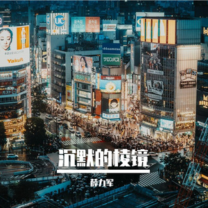 沉默的棱镜