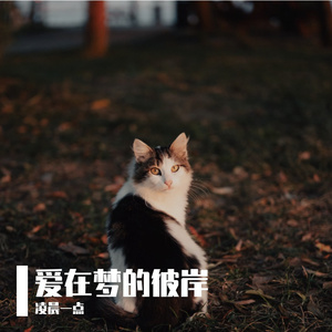 森林晨曦漫步曲