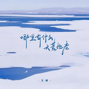 哪里有什么天荒地老