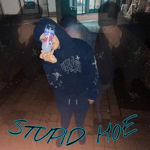 STUPID H0E (feat. Ypk.Abe)