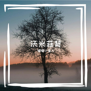 沃米菲背