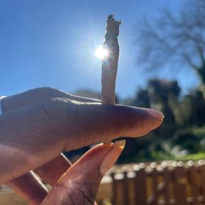 Voar (feat. Radicha)