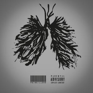 Painkillers (feat. Don Kadji & Signe)