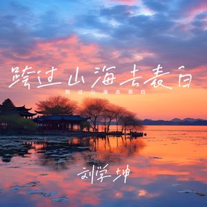 跨过山海去表白