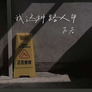 我这种路人甲