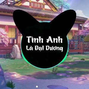 Tình Anh Là Đại Dương Remix