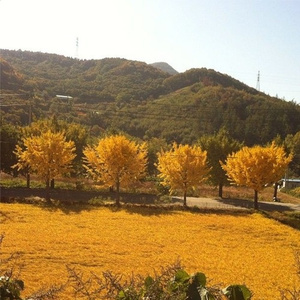 making music was a mistake [x. tomorrow]