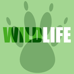 Shine On (Mr Sam’s Wonderful Moments In Love Remix)