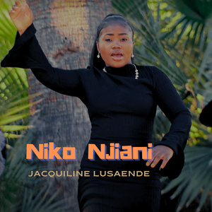 Niko Njiani