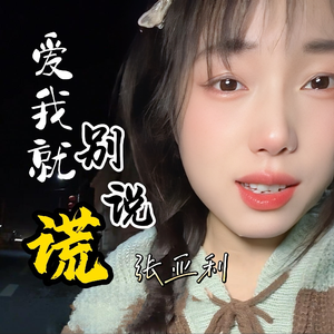 爱我就别说谎 (DJ版)