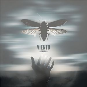Viento