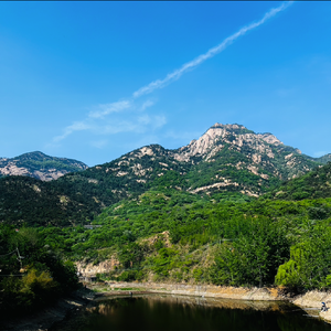 六盘山上花正浓