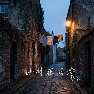 风停在旧巷