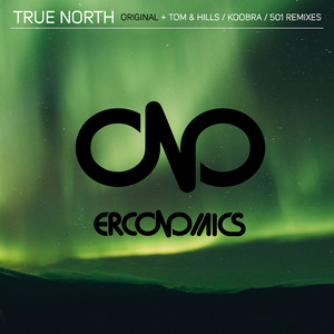 True North (Tom & Hills Remix Extended)