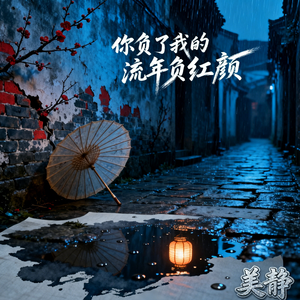你负了我的流年负红颜