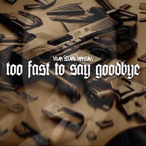 Too Fast To Say Goodbye