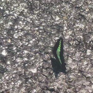 寻主记 pt2(Instrumental)