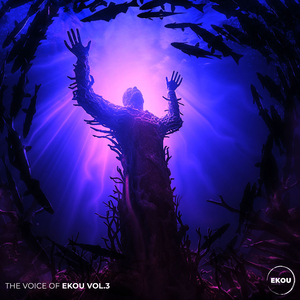 Follow Me (Thematic Remix)