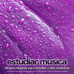 Musica para leer