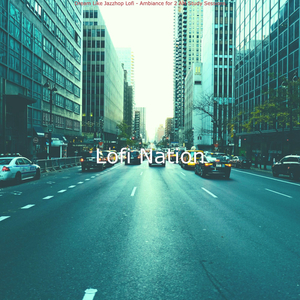 Sophisticated Moment for 2 AM Study Sessions