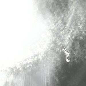 我不想要孤独也不需要陪伴