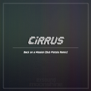 Back on a Mission (Dub Pistols Remix)