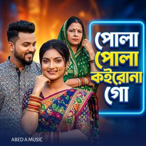 পোলা পোলা কইরোনা গো