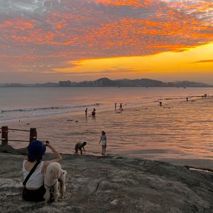 你变成我心中的刺