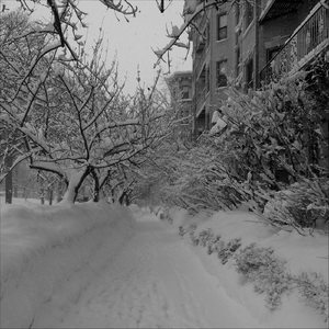 Fell Asleep on a Wednesday Evening