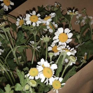 Good Morning（Prod by 仕宗圣）