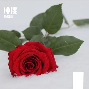 冲淡（Prod.CHAUNCEY）