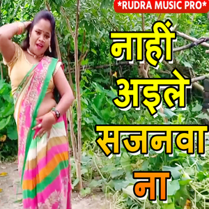 Nahi Aile Sajanva Na