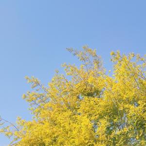 盛夏(prod. Furyl, 4_Chords)