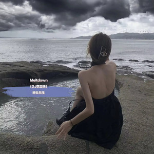 Meltdown (DJ氛围版)