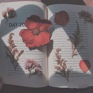 Bye to bye