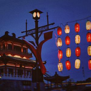 琴师