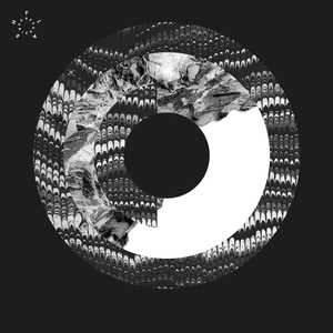 Insekt (Tim Xavier Remix)