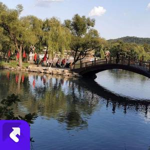 怕你会把我忘记 (现场)