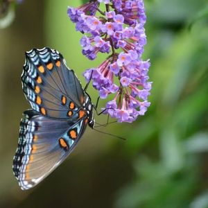 思念无止境的爱