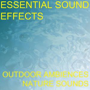 Ax Axe Chop Chopping Cut Split Impact Hit Wood Firewood Sound Effects Sound Effect Sounds EFX Sfx FX Stone and Wood Sound Effects Chopping