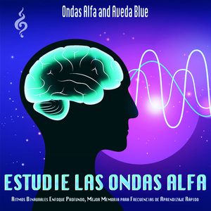 Concentración Alfa Memoria y Aprendizaje