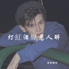 灯紅酒綠惹人醉