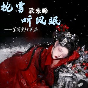 枕雪听风眠