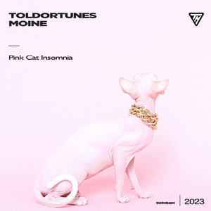 Pİnk Cat Imsomnia