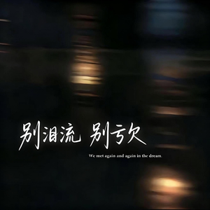 别泪流 别亏欠
