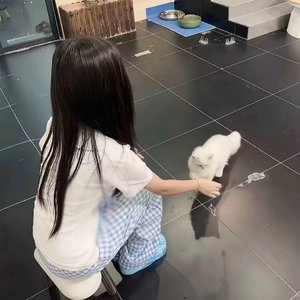 滕佩佩专属