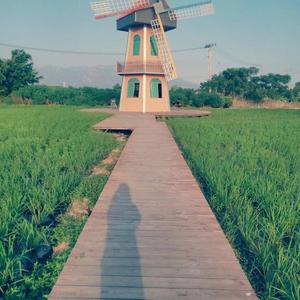 勇气（橘子汽水味女声）